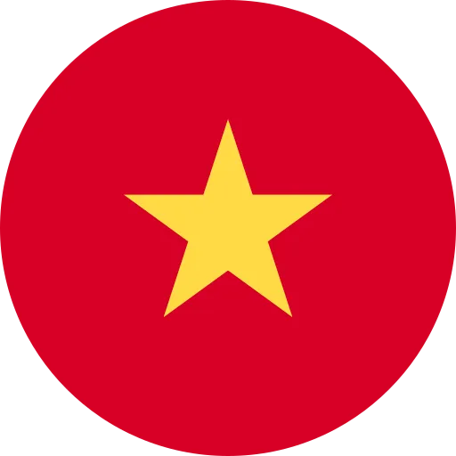 vn