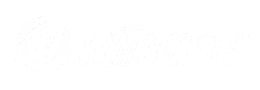 9W