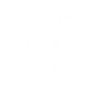 SBOBet