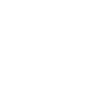 VPLUS