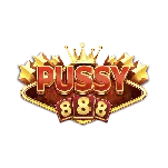 provider_PUSSY888
